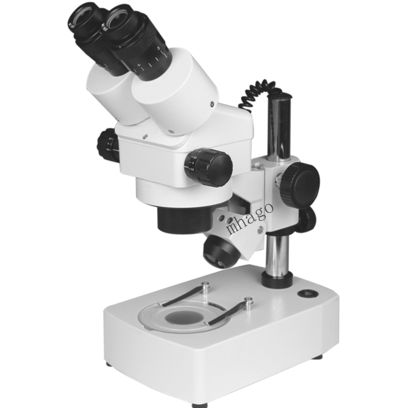 XTL-2400